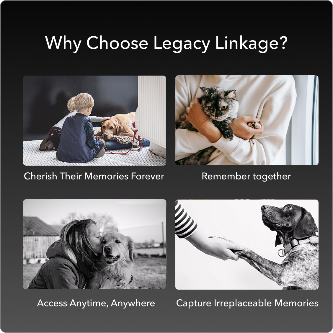 Pet Memorial QR Code